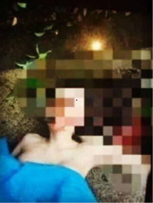 明星跳楼自杀,揭秘明星跳楼自杀背后的真相与哀思