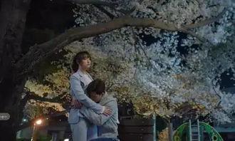 三流之路的花絮,笑与泪交织的追梦之旅